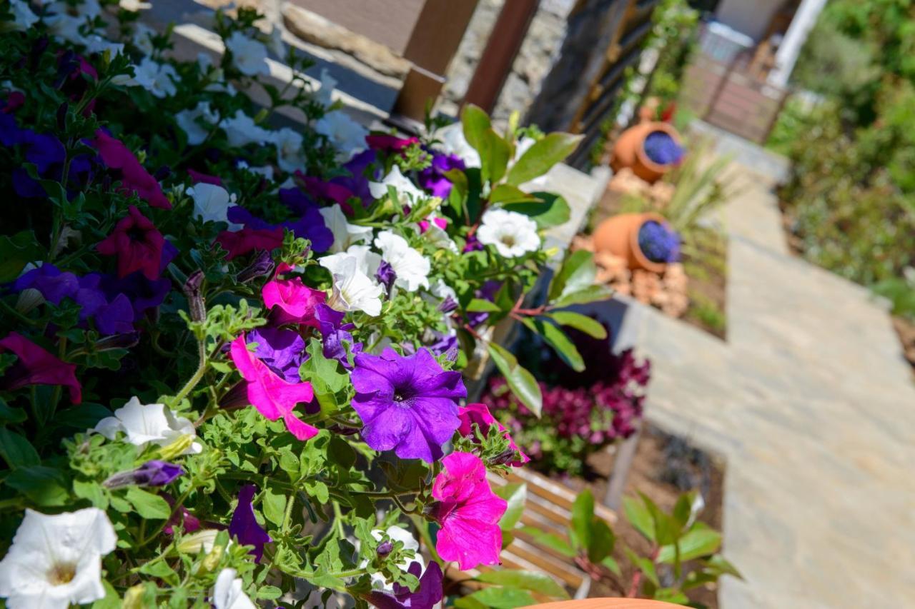 La Terra Petra Villa Skala Rachoni  ภายนอก รูปภาพ